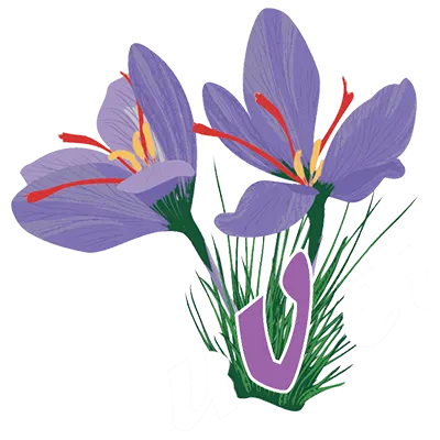 Logo Safran d'Auvergne